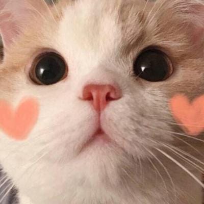 ثانیہ باری avatar
