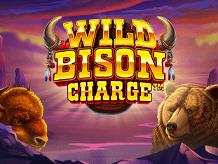 Wild Bison Charge